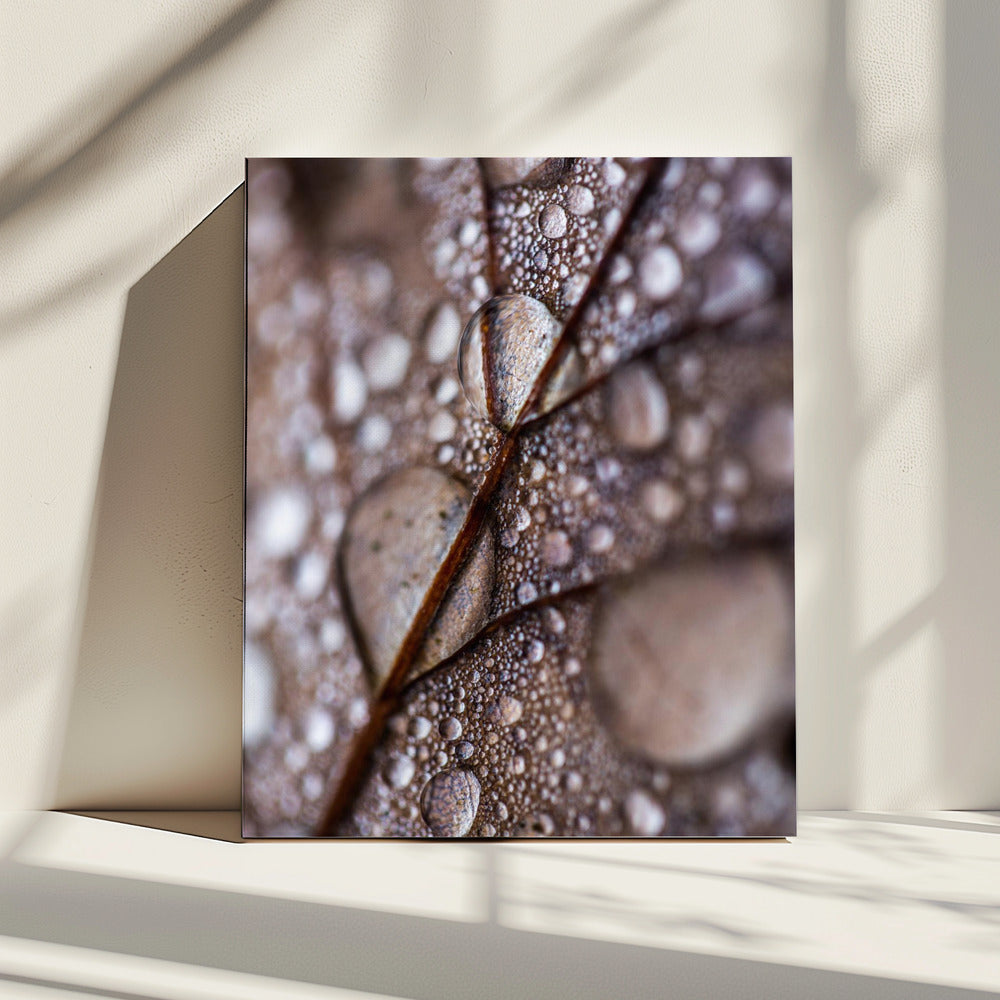 Autumn Rain | Canvas