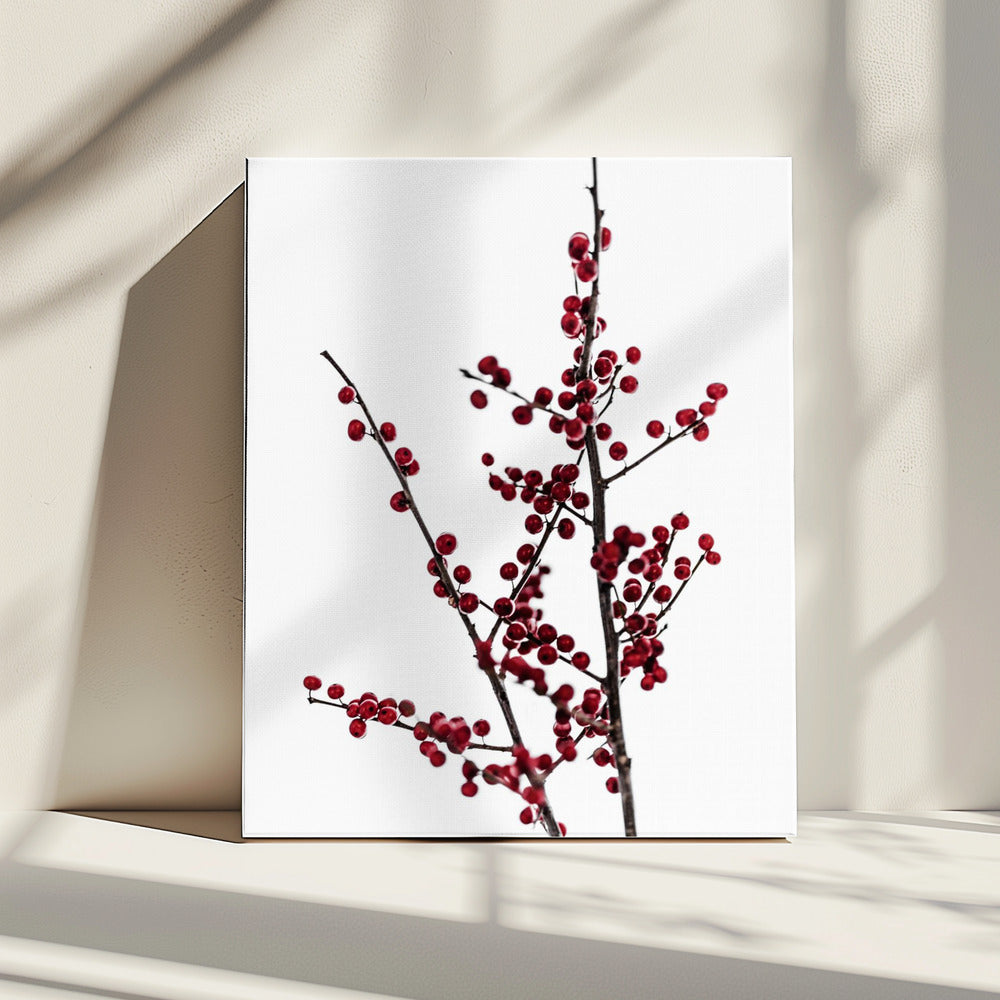 Red Berries 2 | Canvas