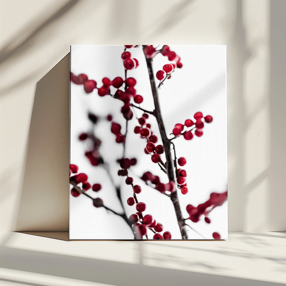 Red Berries 1 | Canvas