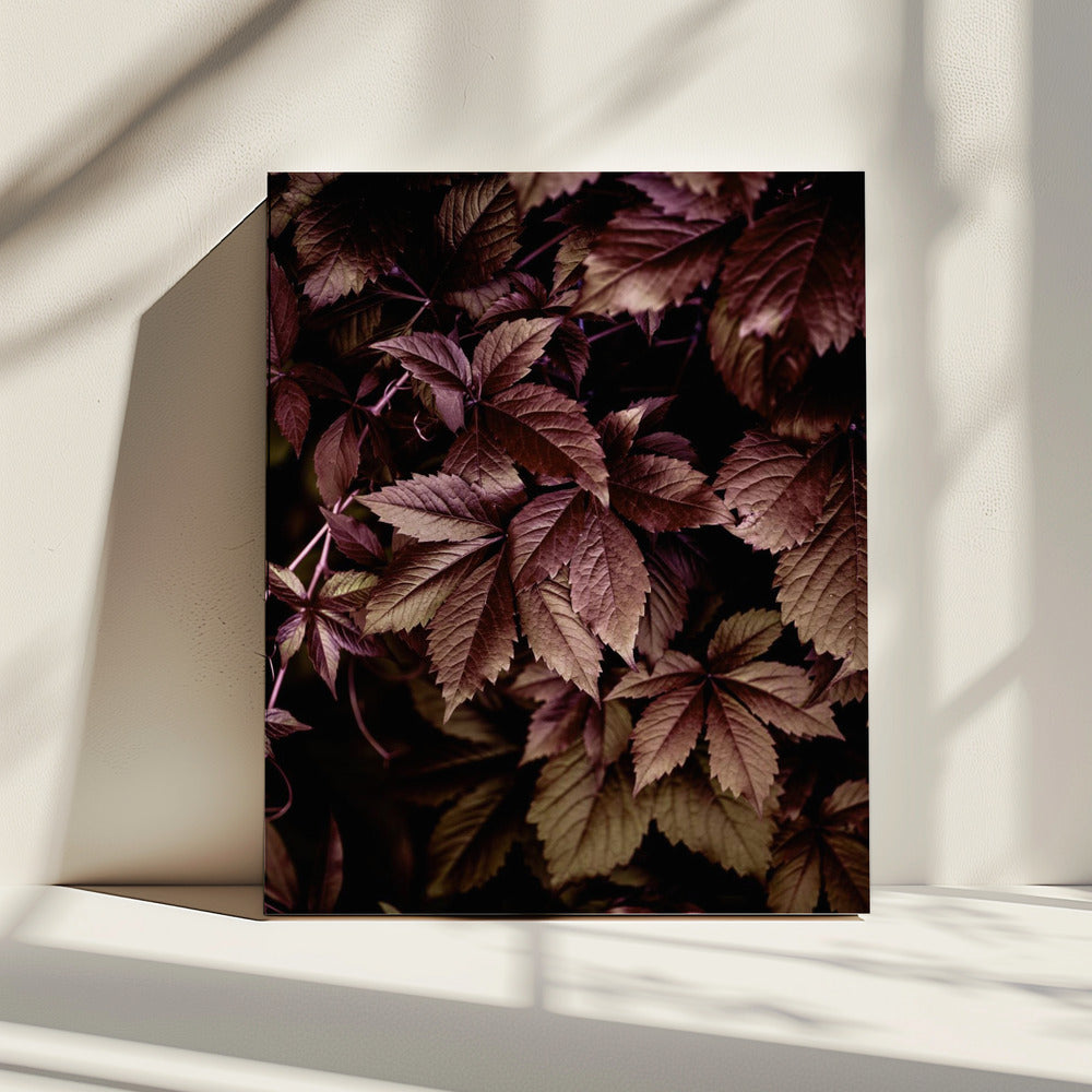 Autumn Leaves 13 | Canvas