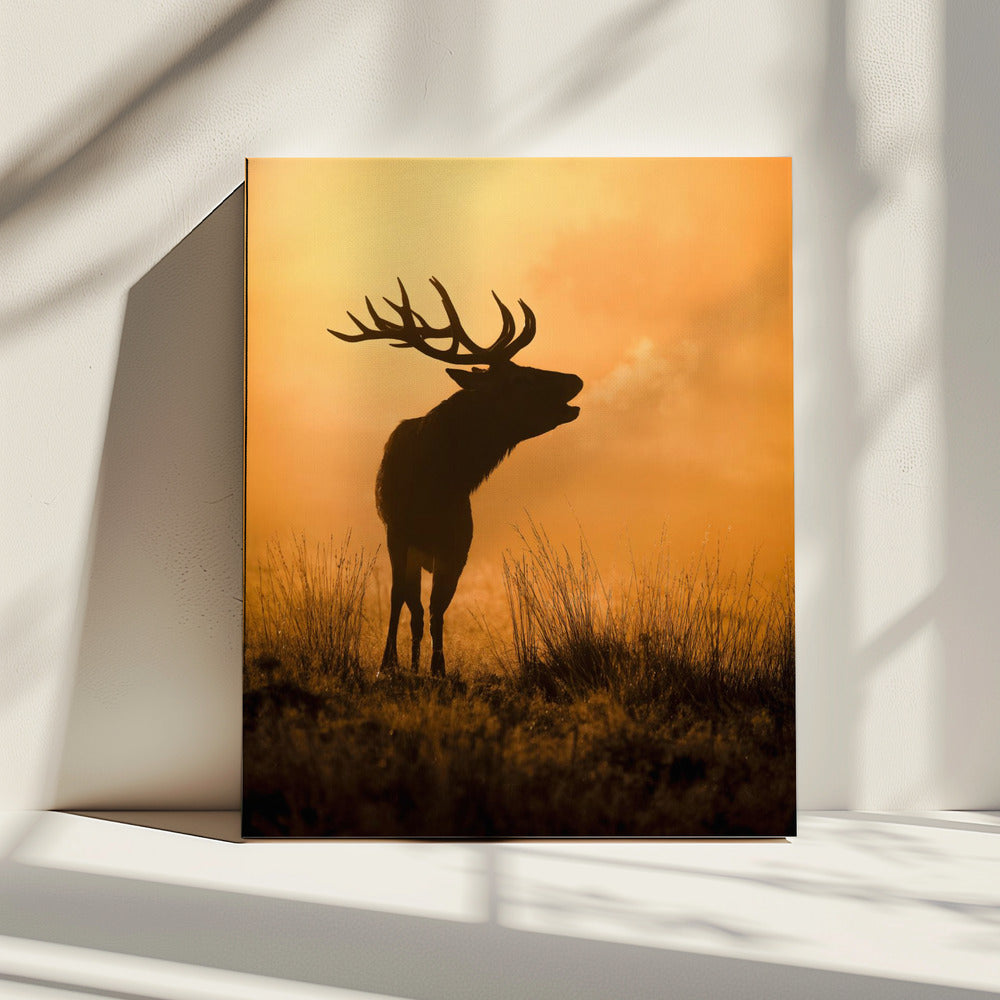 Ochtendoproep | Canvas