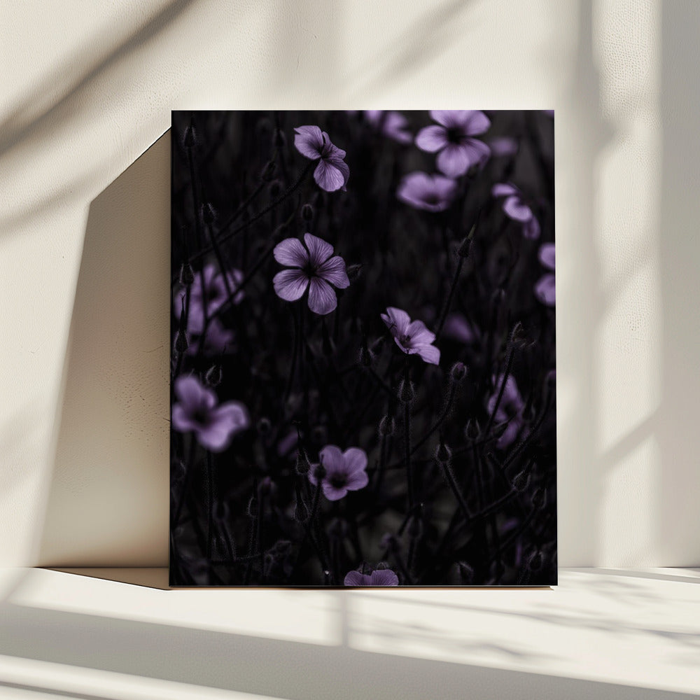 Dark Flowers 10 | Canvas