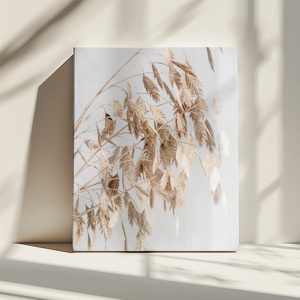 Onbekend 4 | Canvas