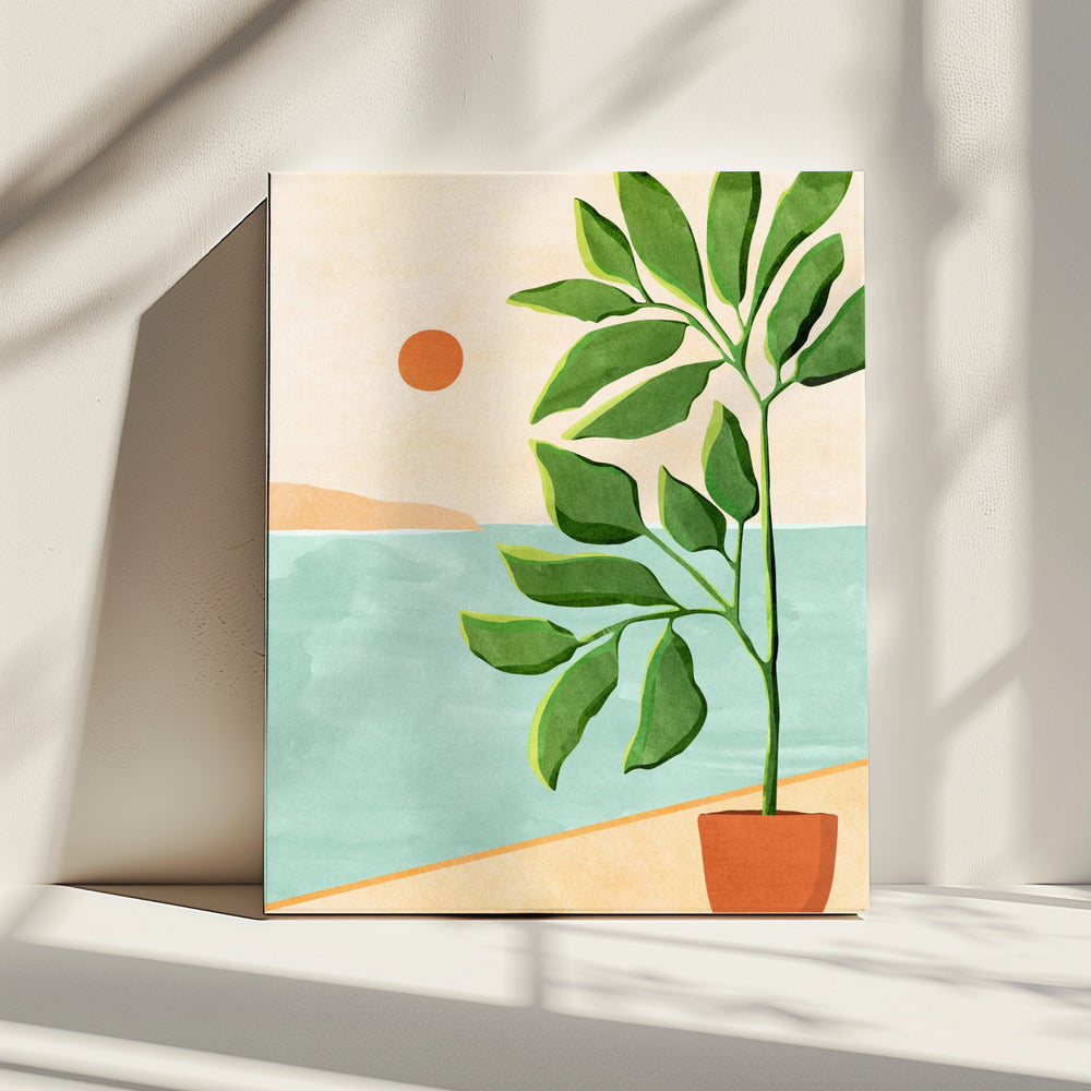 Ontsnap naar de kust | Canvas