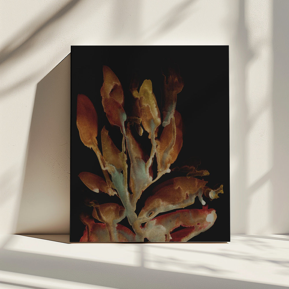 Nachtplant | Canvas
