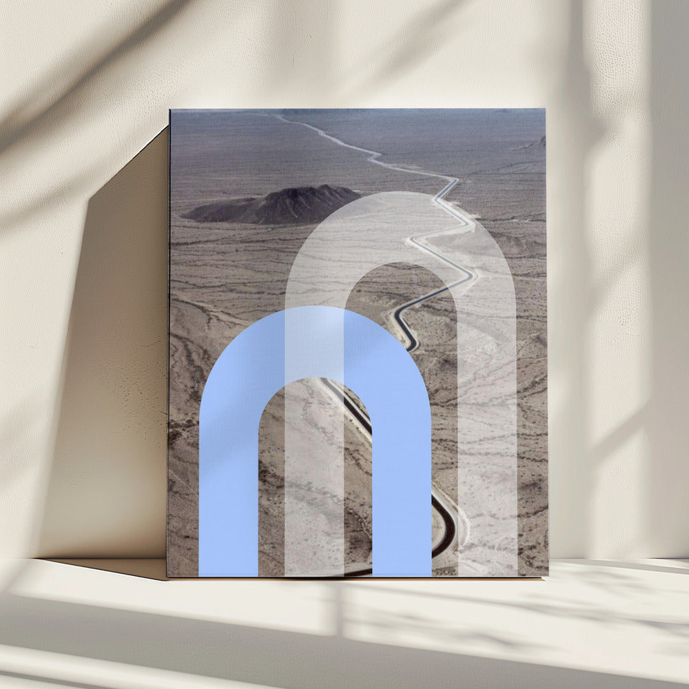 Woestijnkrommen | Canvas