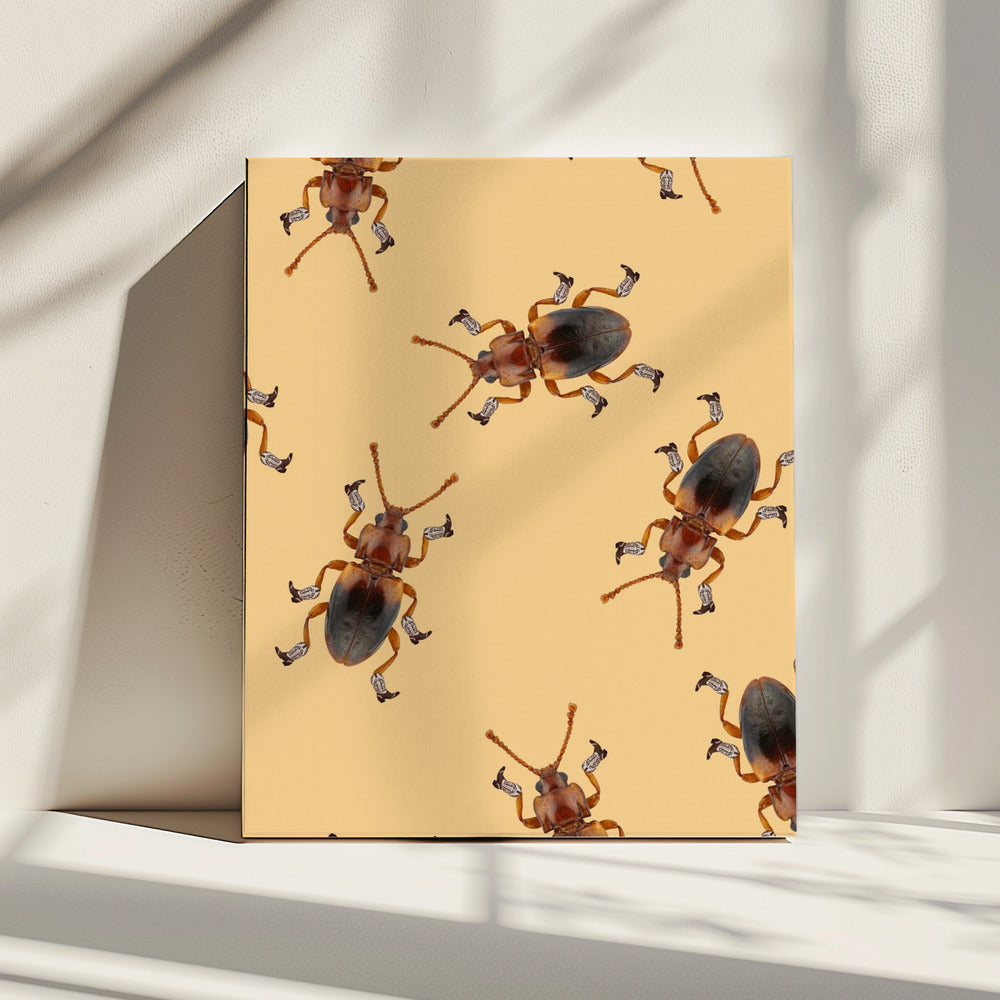 Billy de Gelaarsde Kever | Canvas