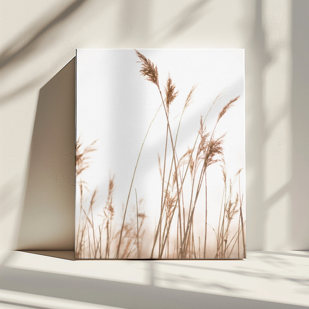 Marsh Grass No.6 | Canvas