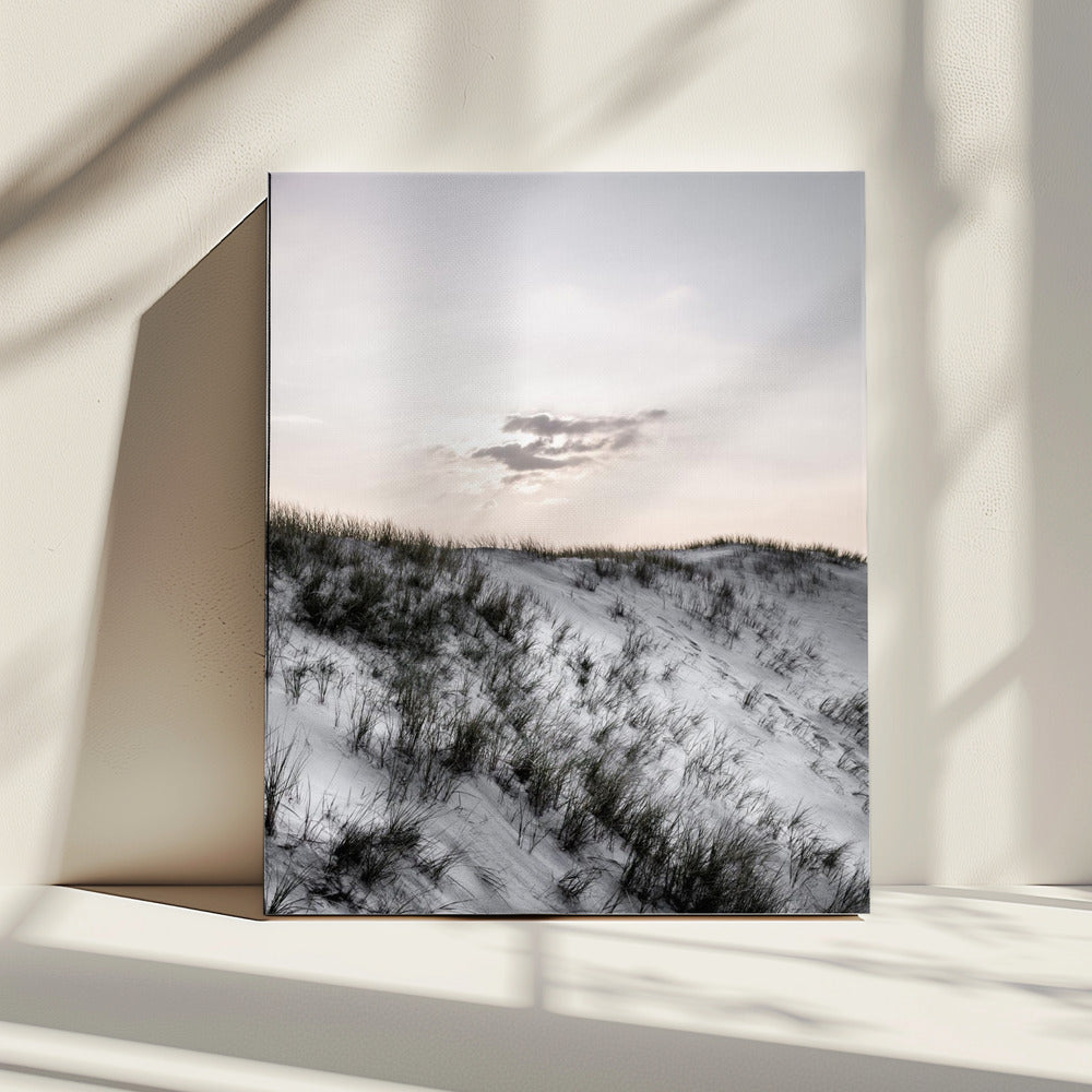 Aan de kust | Canvas