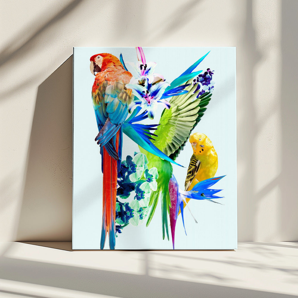 Paradijsvogels I | Canvas