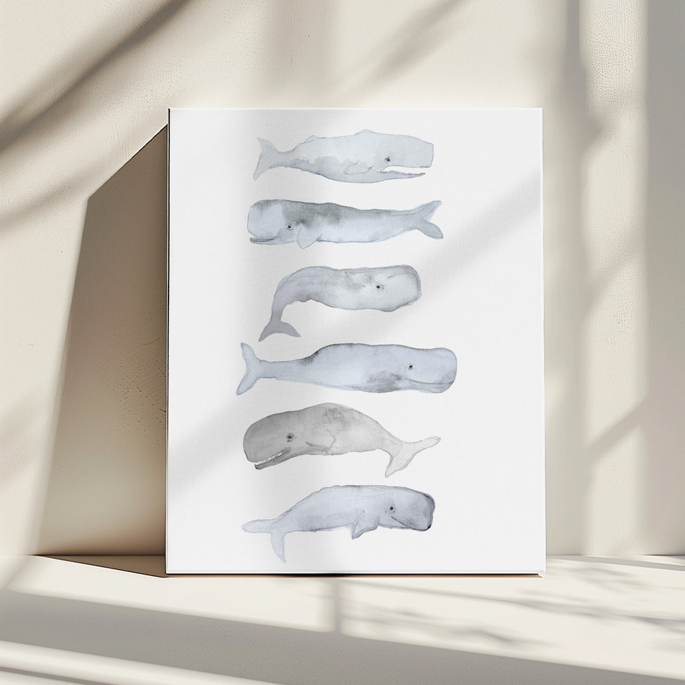 Walviskunst | Canvas