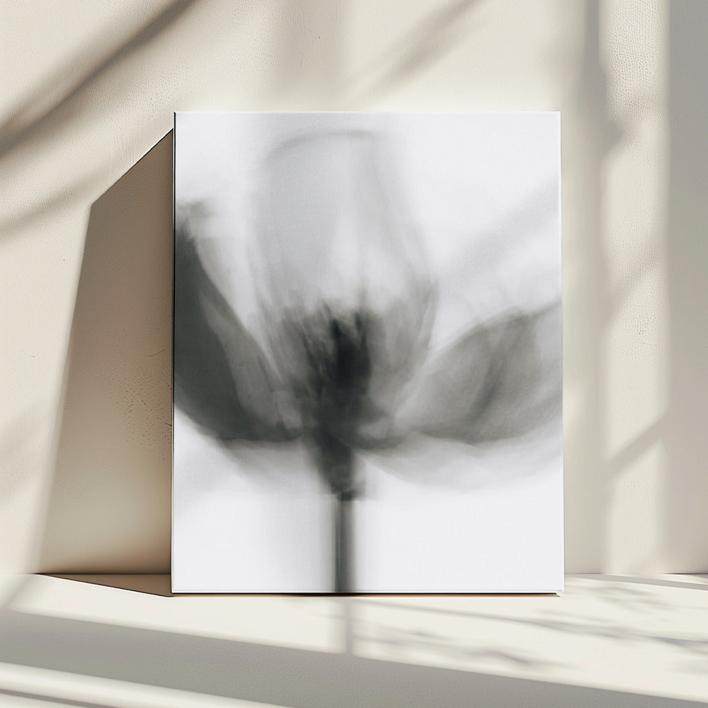 Mono Tulp | Canvas