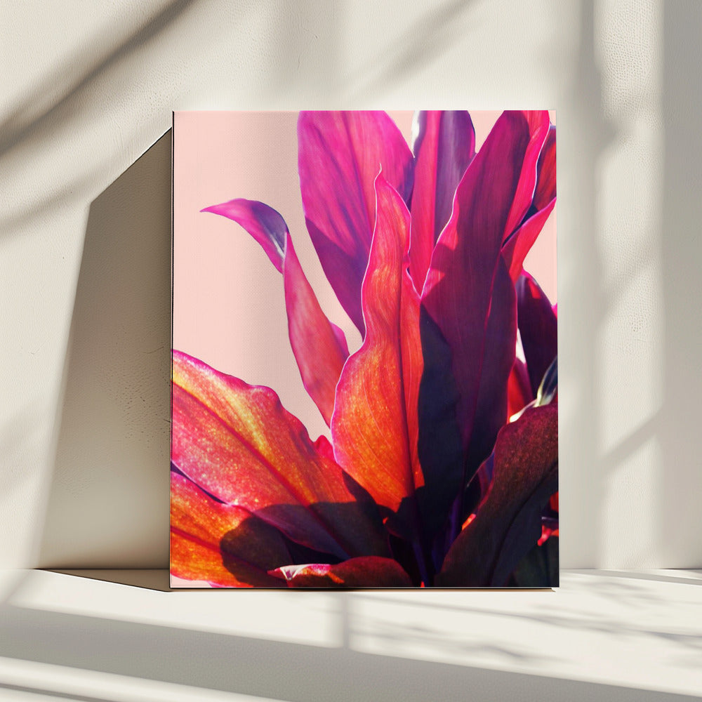 Fuchsia Bladeren II | Canvas