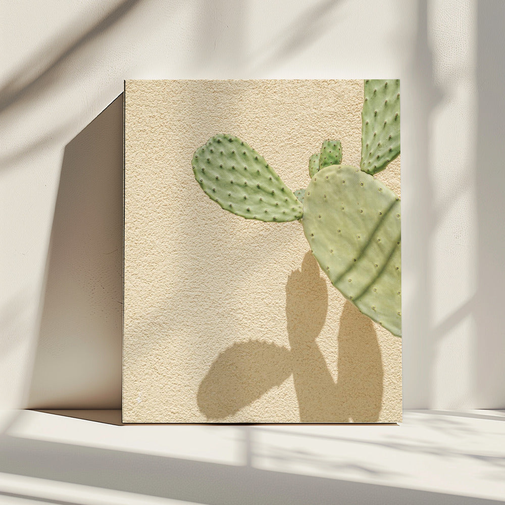 Cactussen Schaduwspel | Canvas