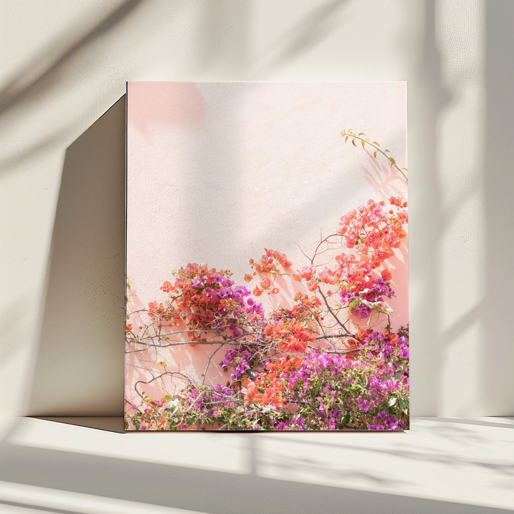Roze Zomer | Canvas