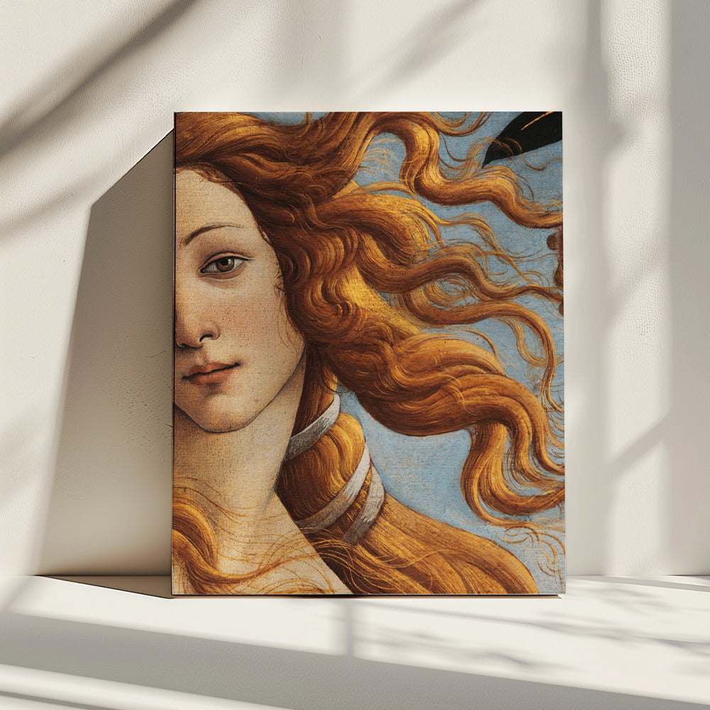 De geboorte van Venus door Sandro Botticelli | Canvas