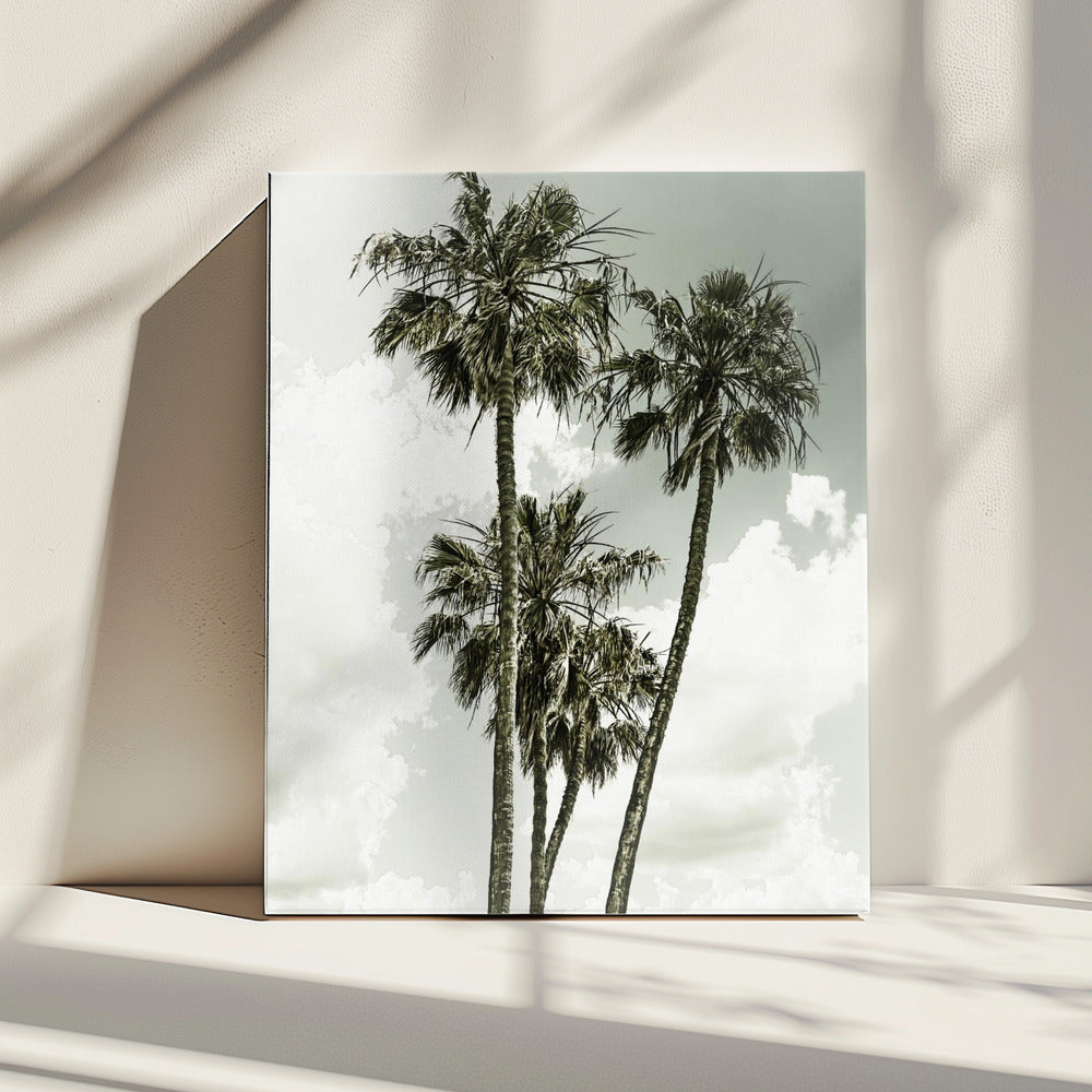 Palmbomen en lucht | Vintage | Canvas