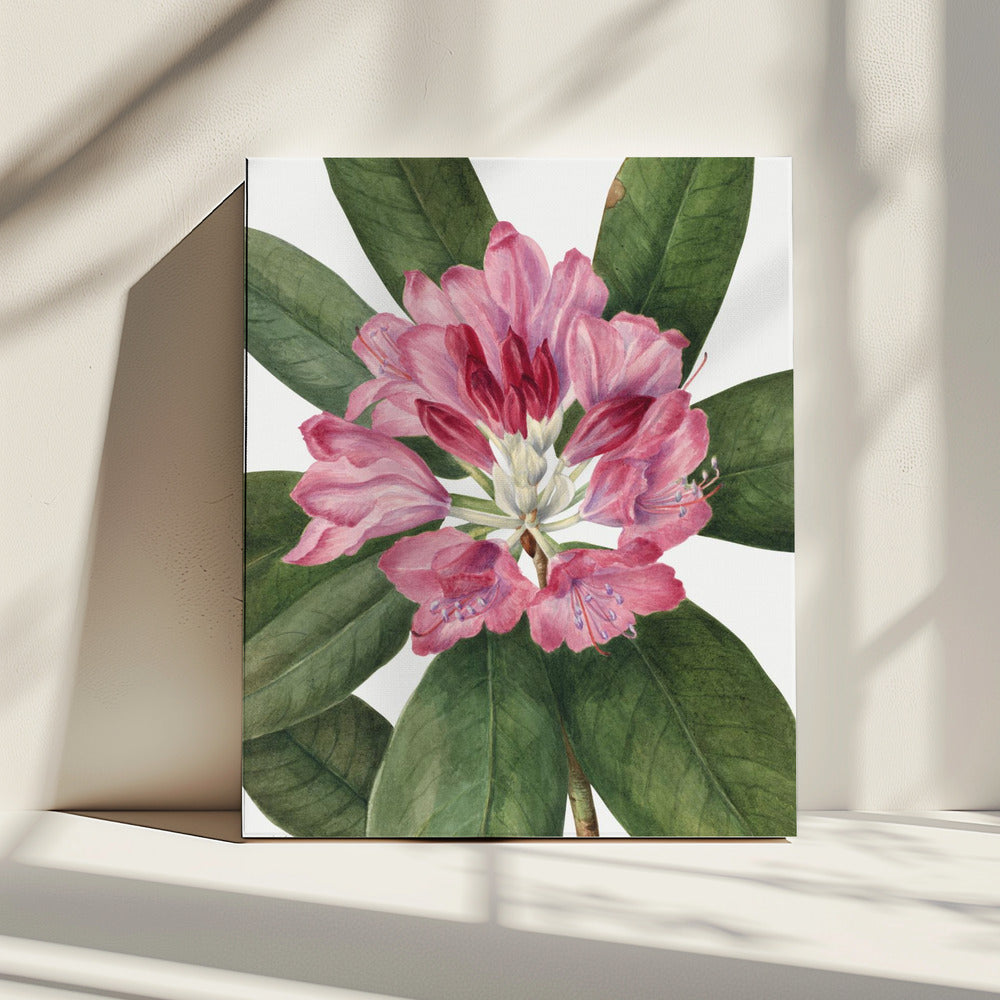 Berg Rose Baai (1932) | Canvas