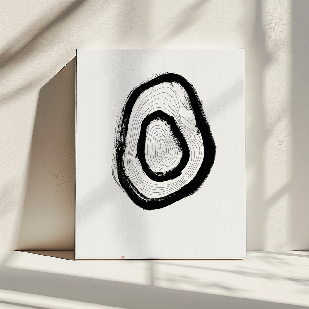 The Rings Of Suminagashi | Canvas