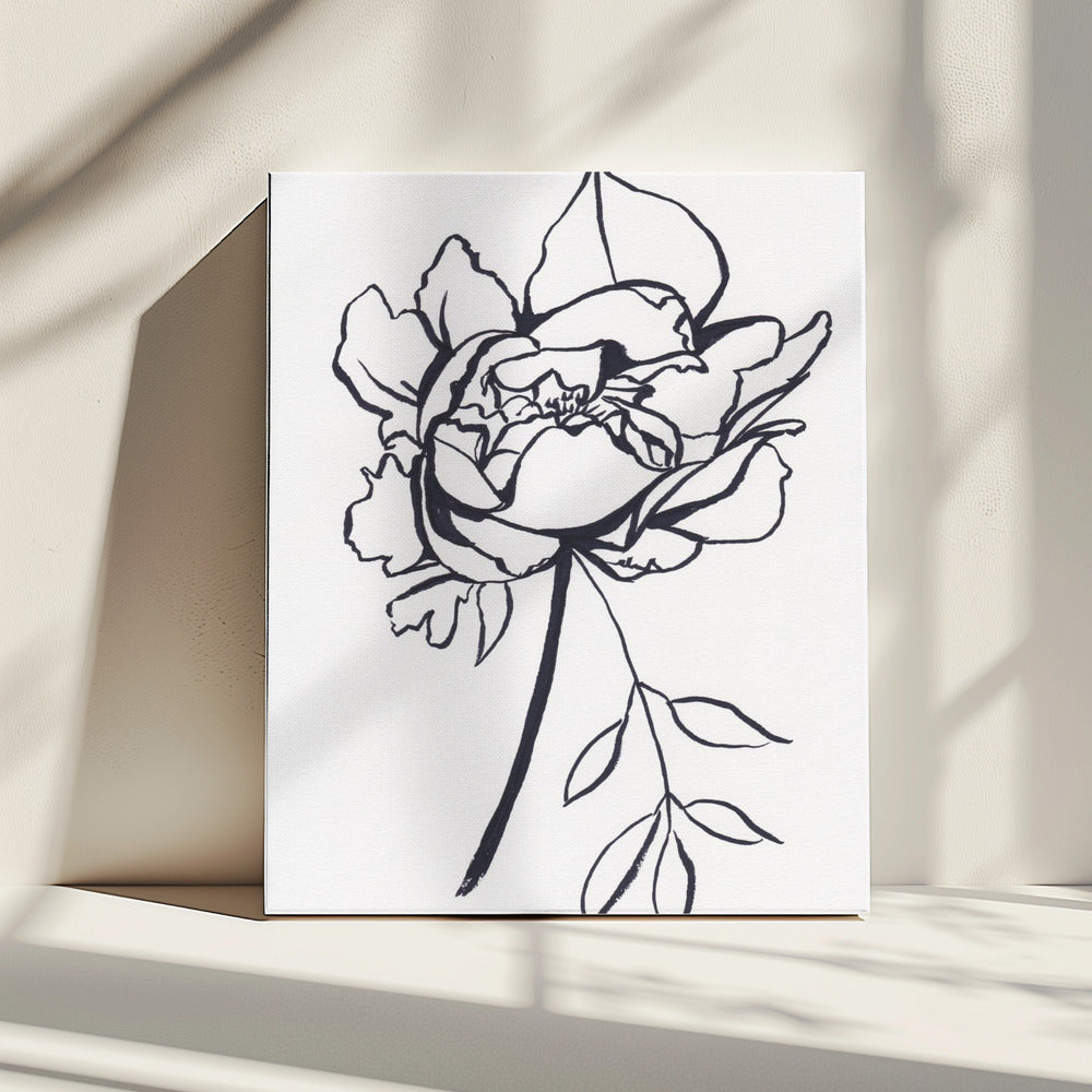 Zwart-witte pioenroos | Canvas