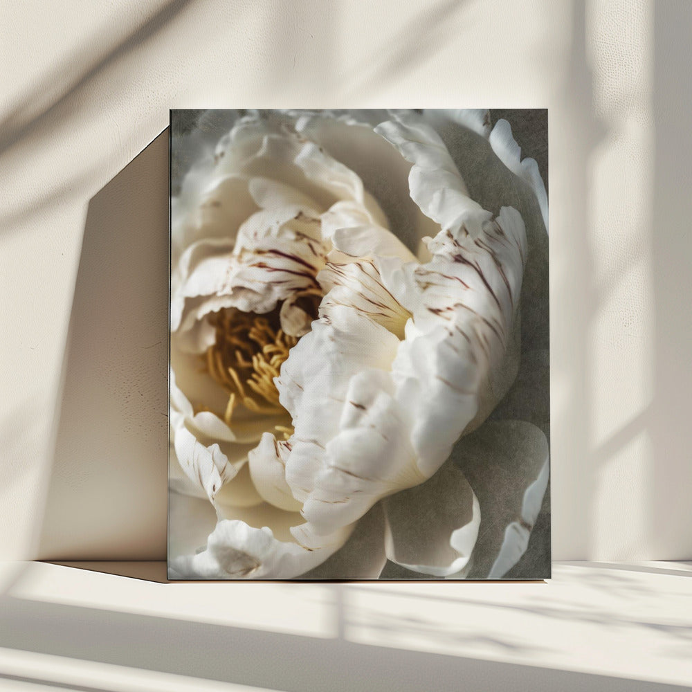 Bloemblaadjes van Sereniteit | Canvas