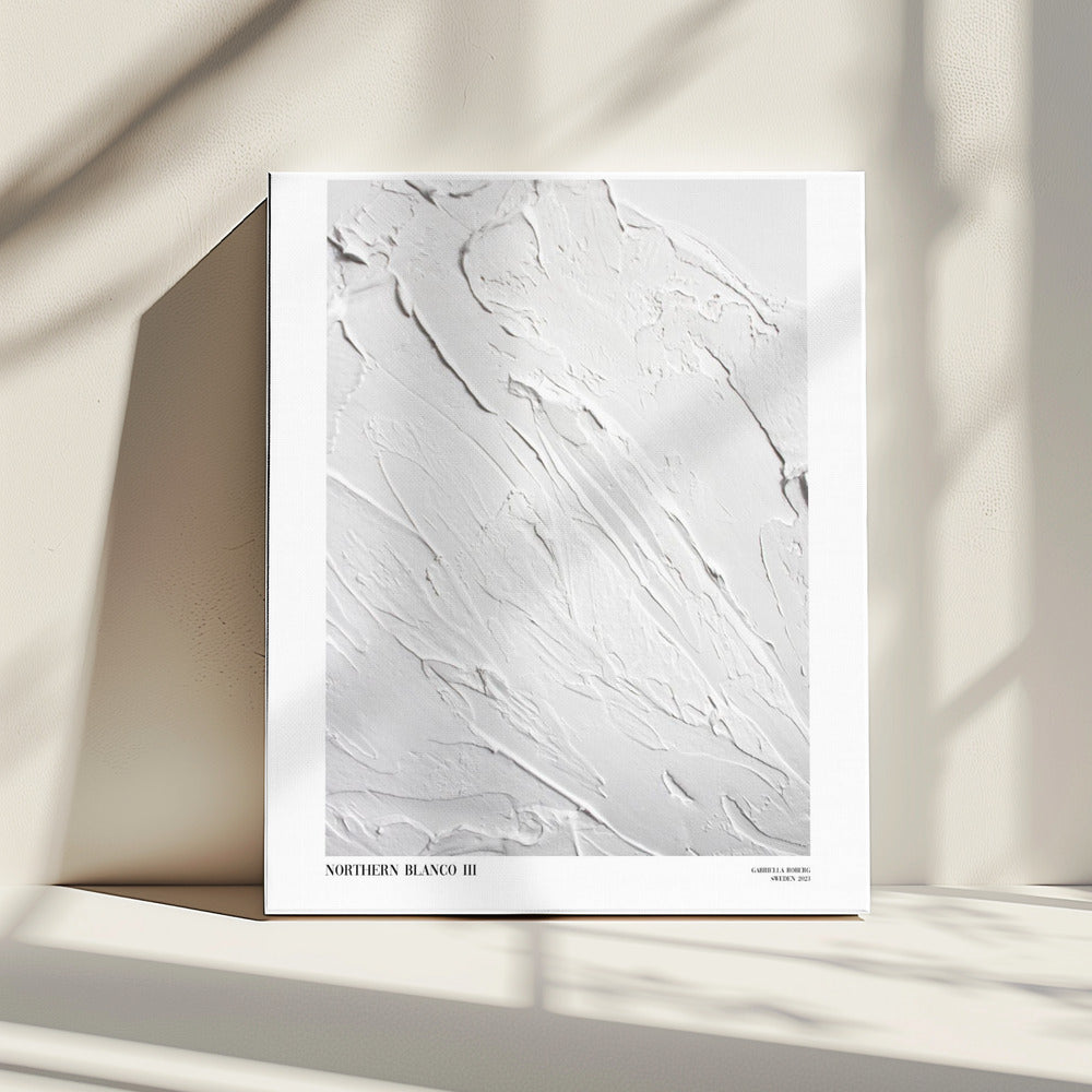 Noordelijke Blanco nr. III | Canvas