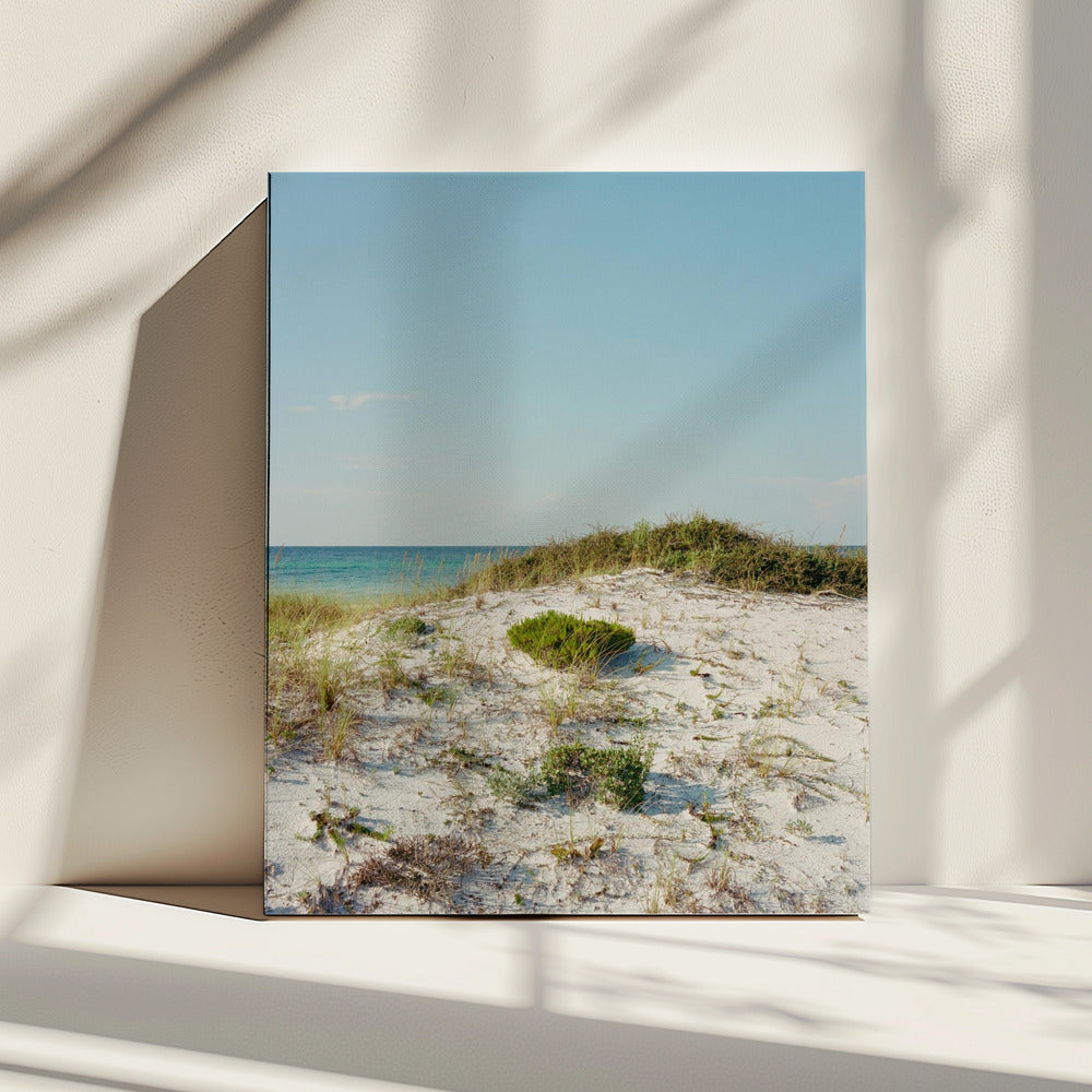 30a Duinen II | Canvas