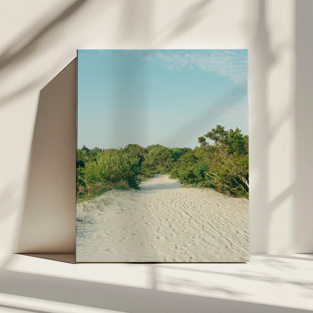 Sullivans Eiland | Canvas