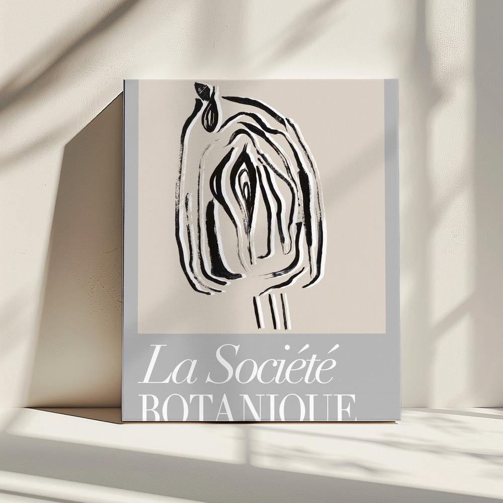 Zaadpod van La Société Botanique | Canvas