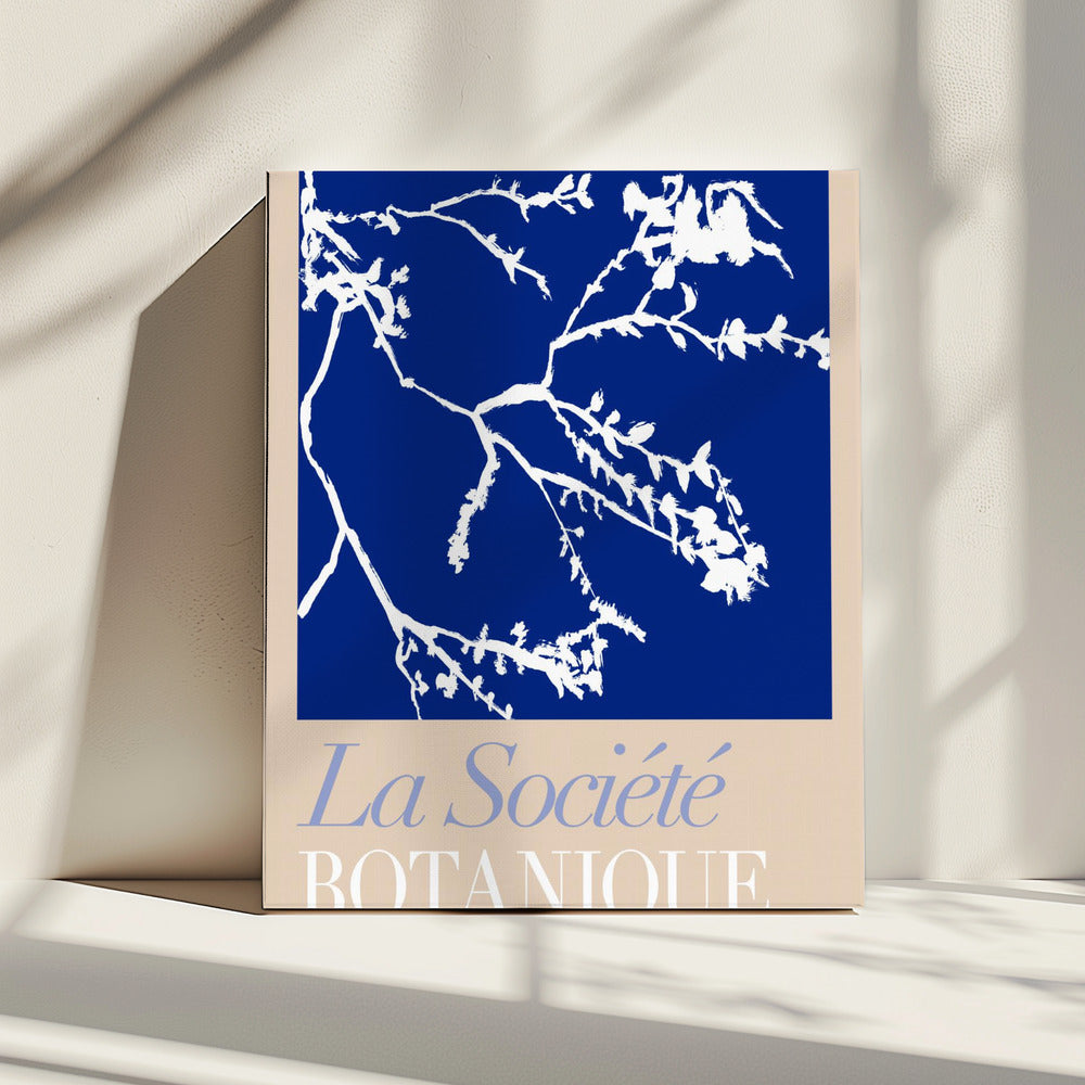 La Société Botanique White Flower 2 | Canvas