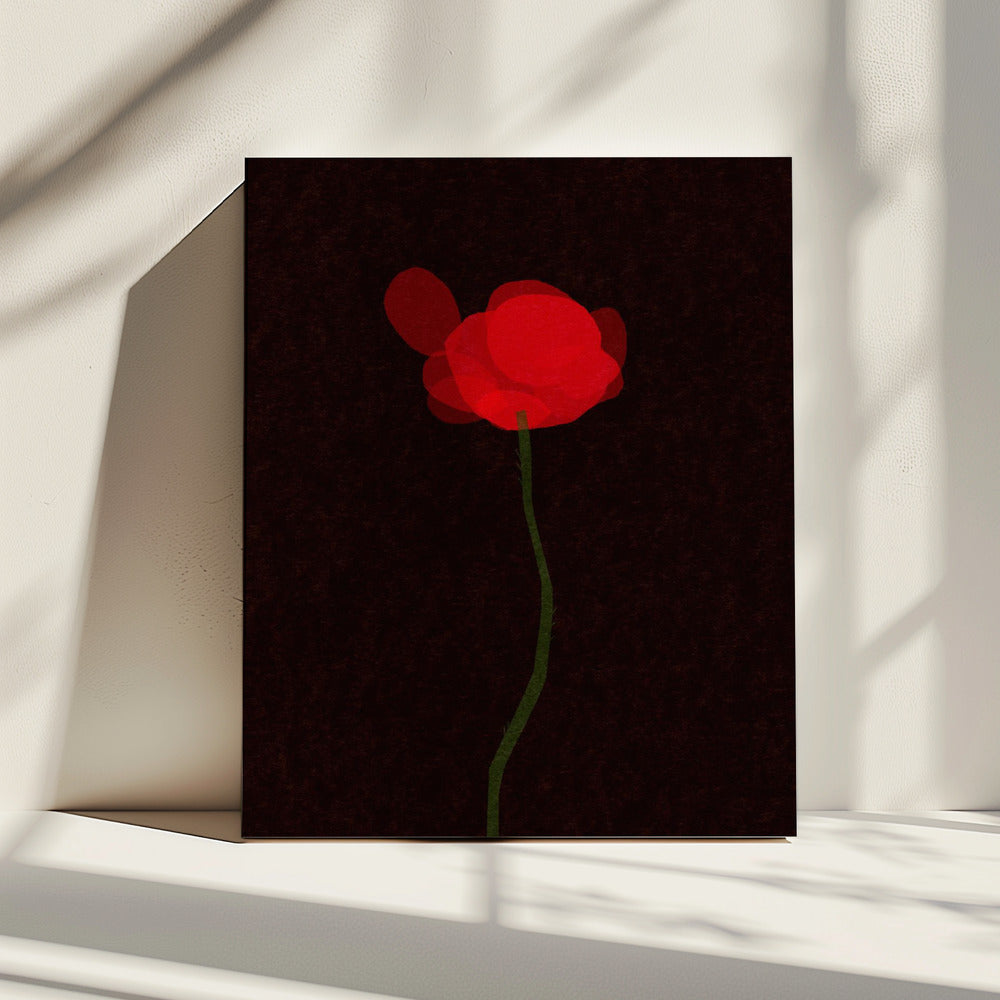 Klaproos | Canvas