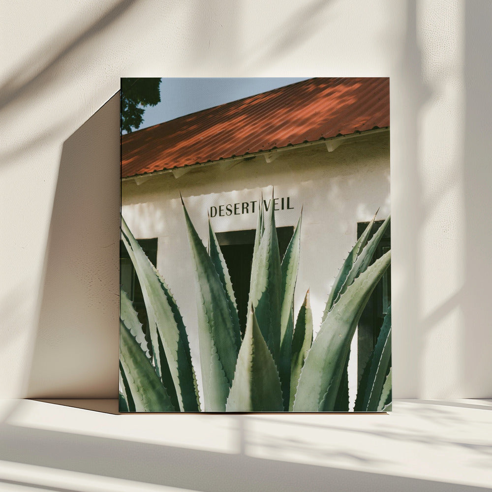 Woestijnsluier | Canvas