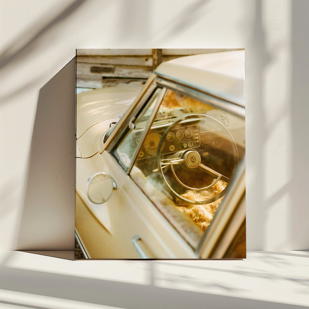 Marfa-rit | Canvas