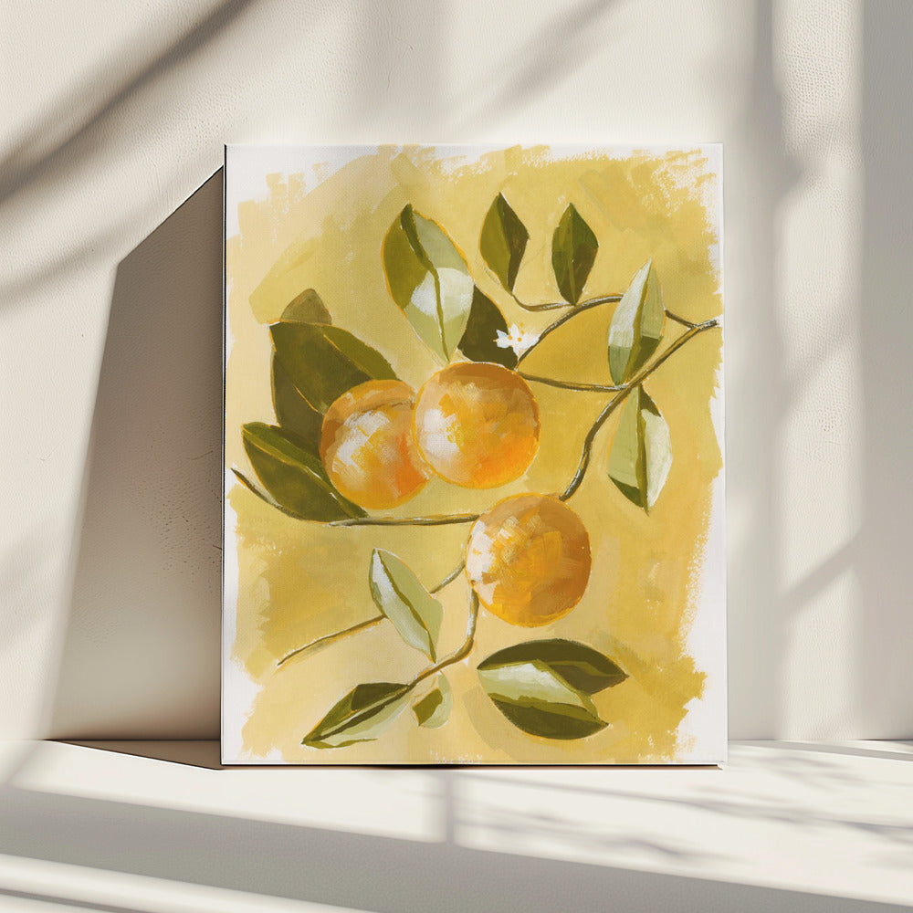 Sinaasappelboom | Canvas