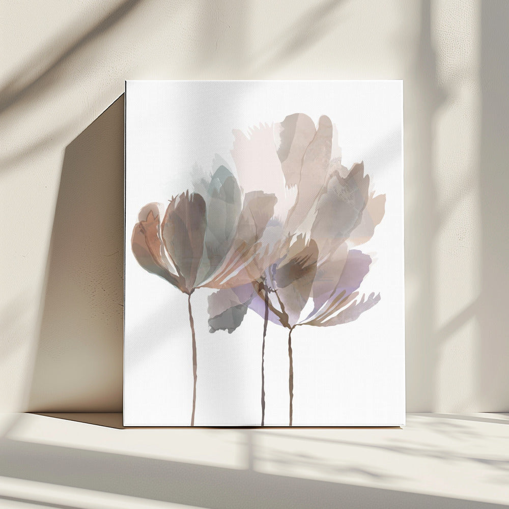 Blush Pink Flowers | Canvas