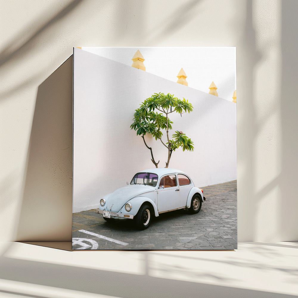 Pastelkleurige Volskwagen Kever in de straten van Oaxaca, Mexico | Canvas