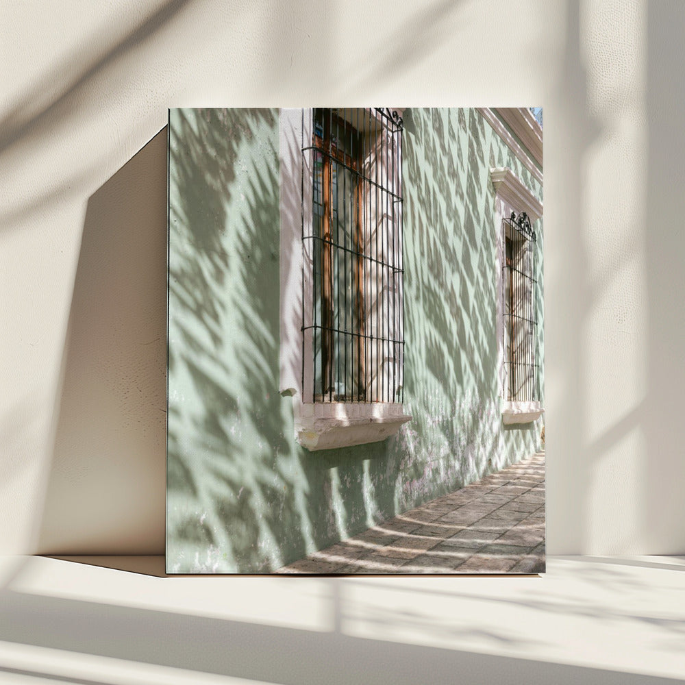 Groenen van Oaxaca | Reisfotografie Mexico | Canvas