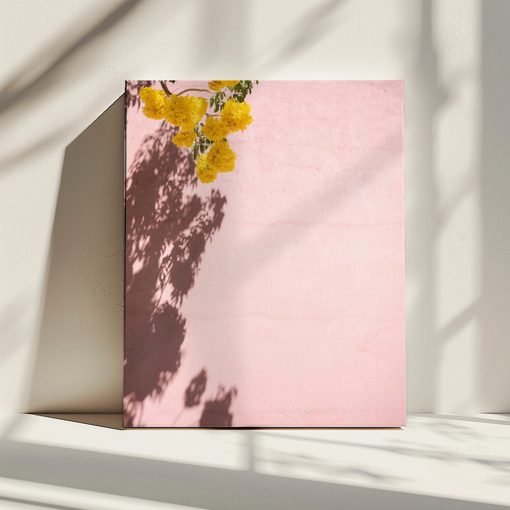 Geel en roze | Oaxaca Mexico | Canvas