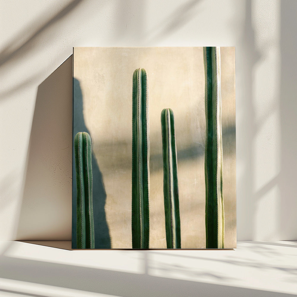 Oaxaca tinten groen | Mexico reisfotografie | Canvas