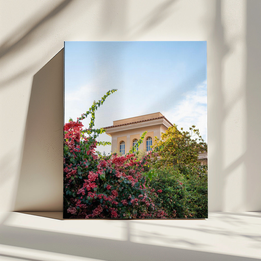La Dolce Vita | Amalfikust Italië | Canvas