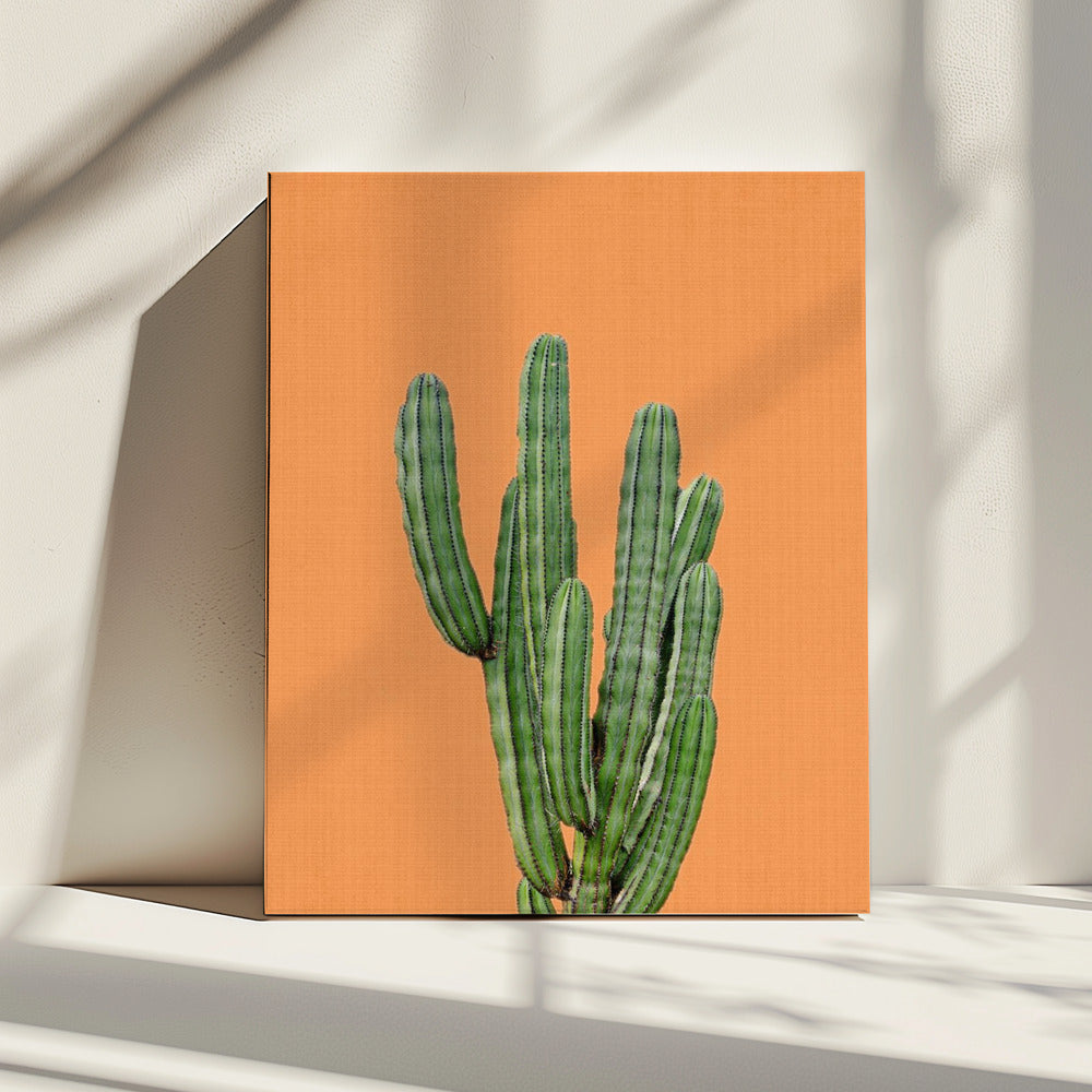 Oranje Cactus | Canvas