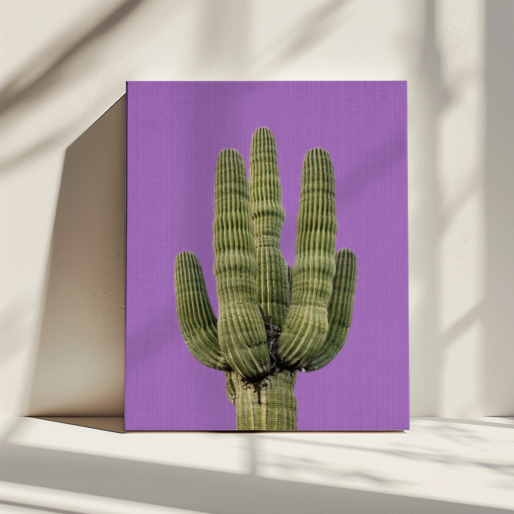 Paarse Cactus | Canvas