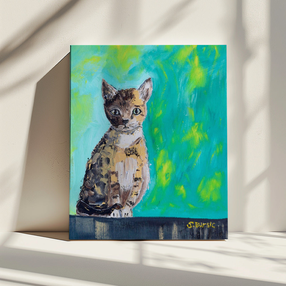Kitten Wacht | Canvas