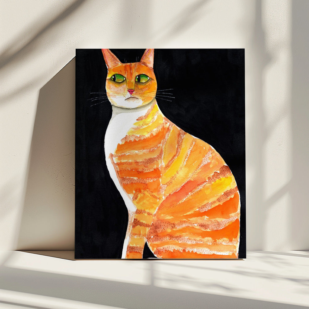 Oranje kattenogen | Canvas