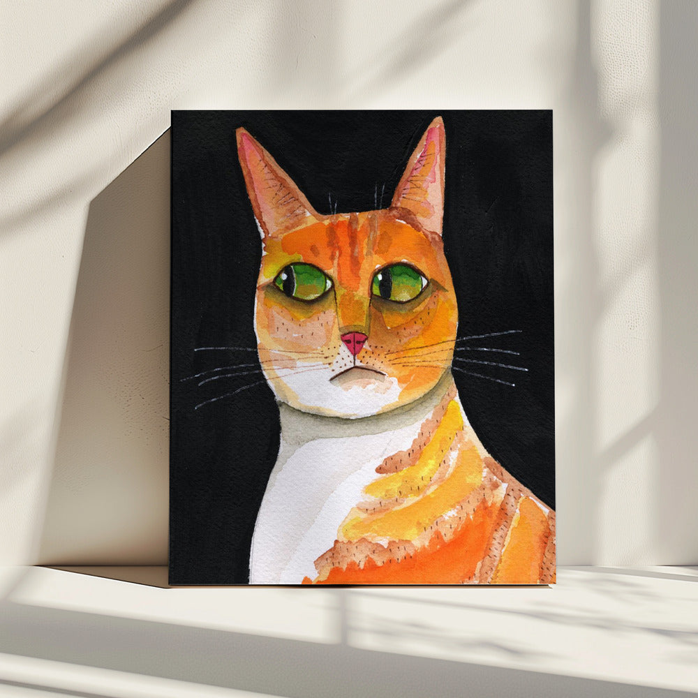 Close-up van een kat met zijoogjes | Canvas