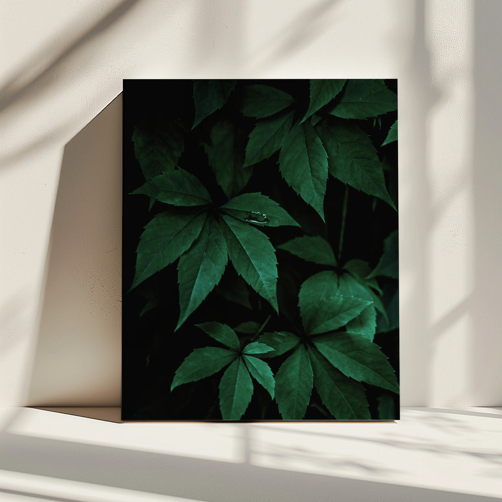 Donkere bladeren 7 | Canvas