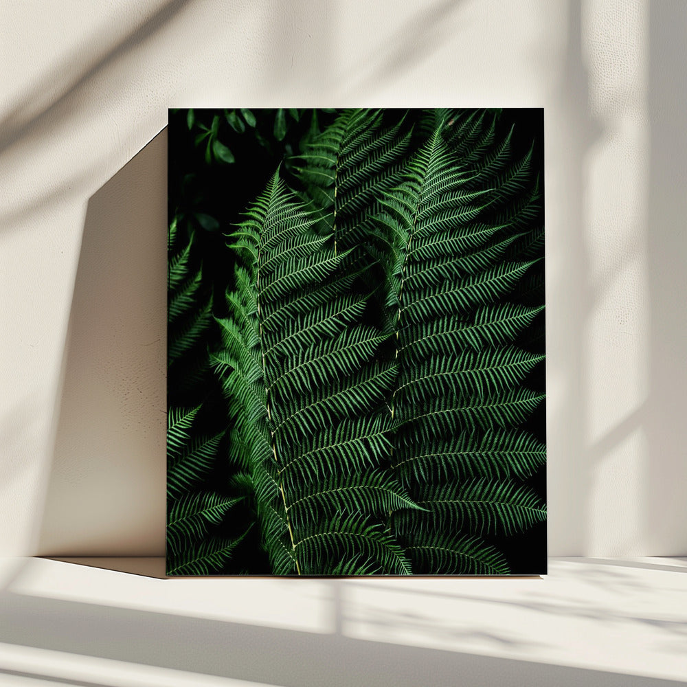 Donkere bladeren 16 | Canvas