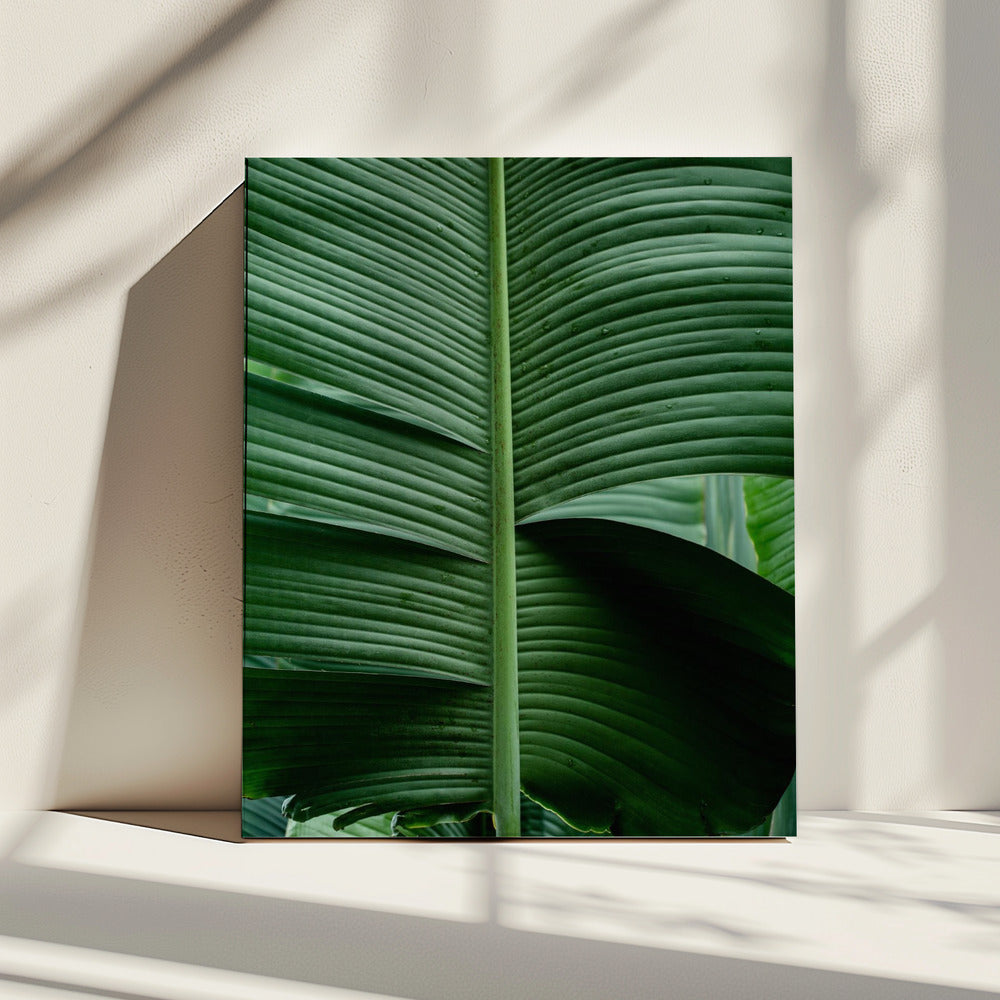 Bladeren 15 | Canvas
