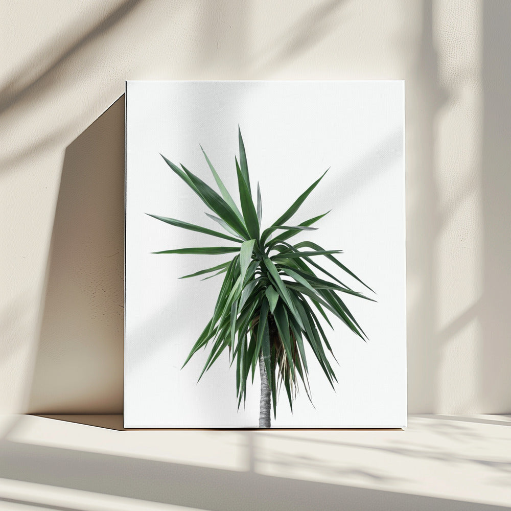 Palmbomen 11 | Canvas