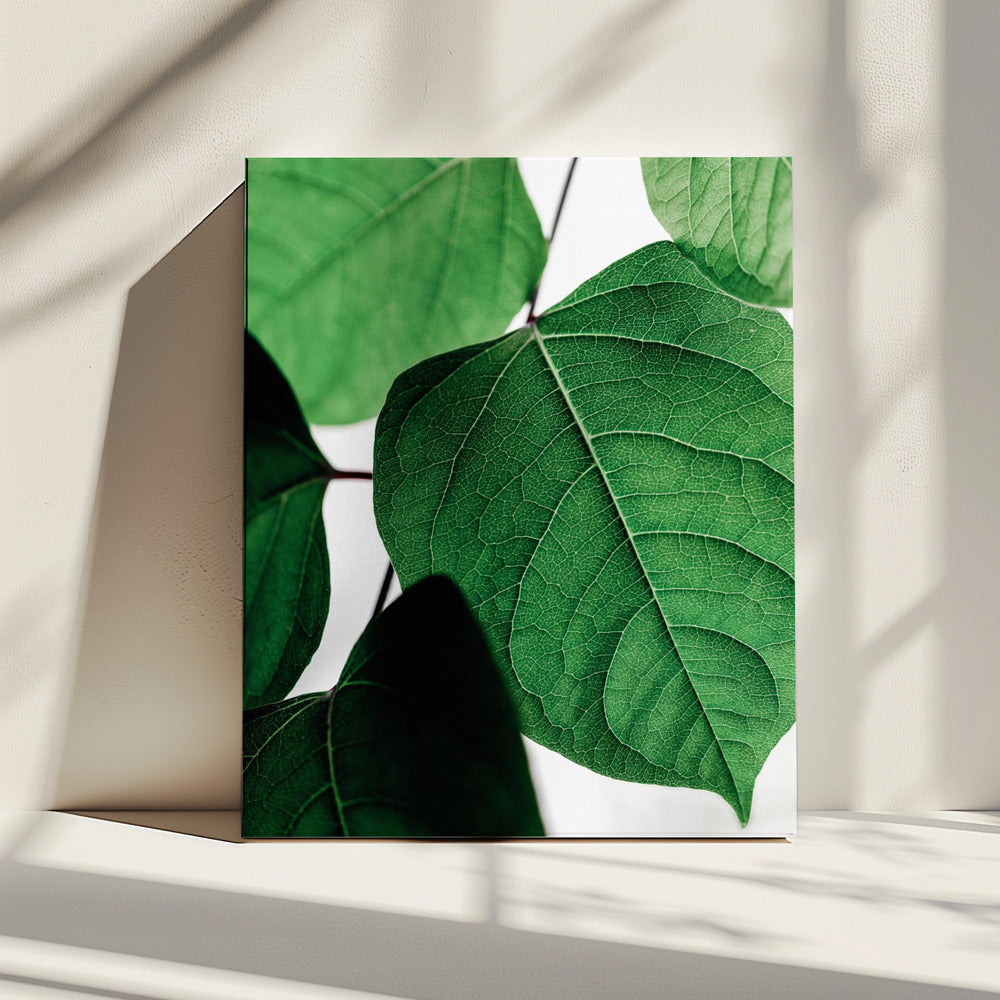 Zomertakken 2 | Canvas